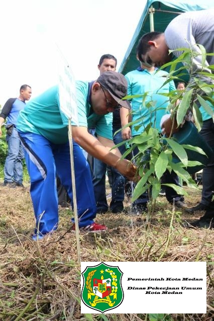 Plt Wali Kota Medan Tanam Pohon di Bantaran Sungai Belawan