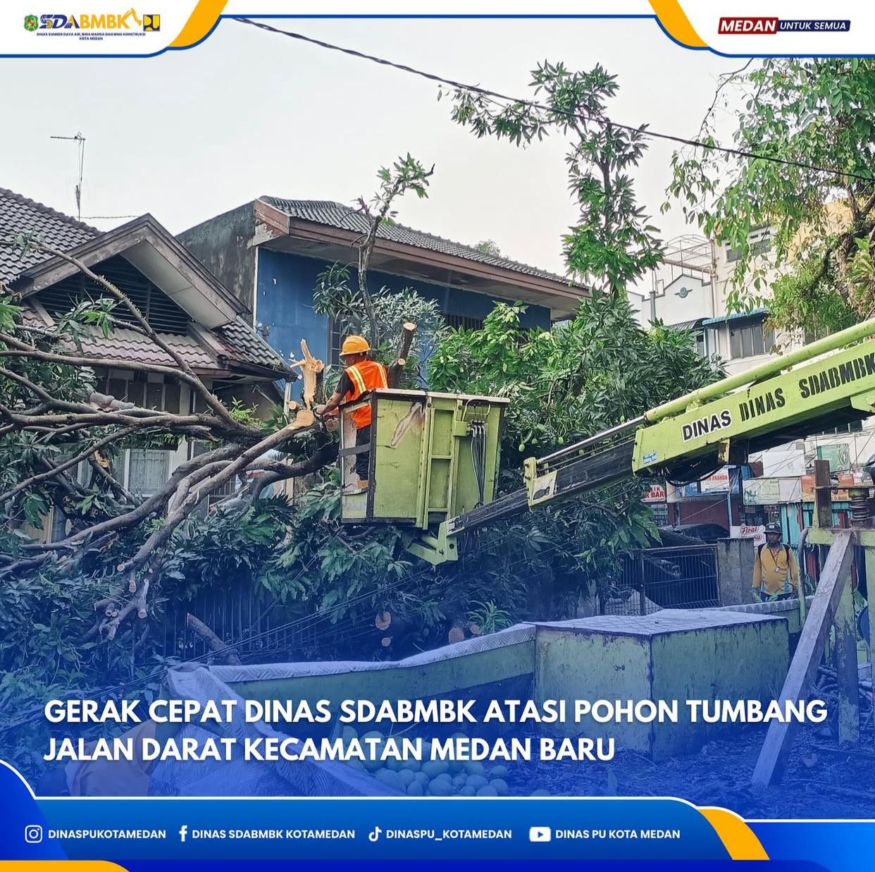 Gerak Cepat Dinas SDABMBK Atasi Pohon Tumbang Jalan Darat Kecamatan Medan Baru
